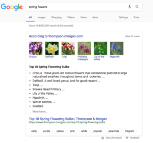 Google Featured Snippet Refinement Bubbles Screenshot