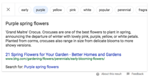 Google Featured Snippet Refinement Bubbles Screenshot
