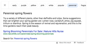 Google Featured Snippet Refinement Bubbles Screenshot