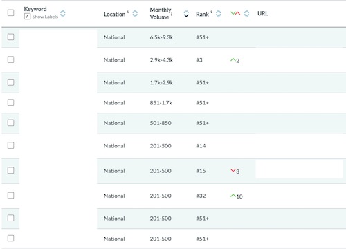 Keyword Ranking Output