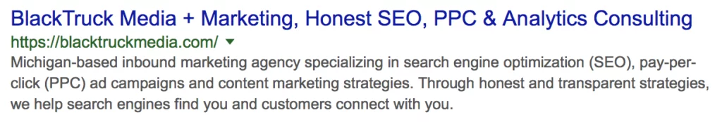 This is how BlackTruck's home page meta description displays on Google's snippet for a branded search.