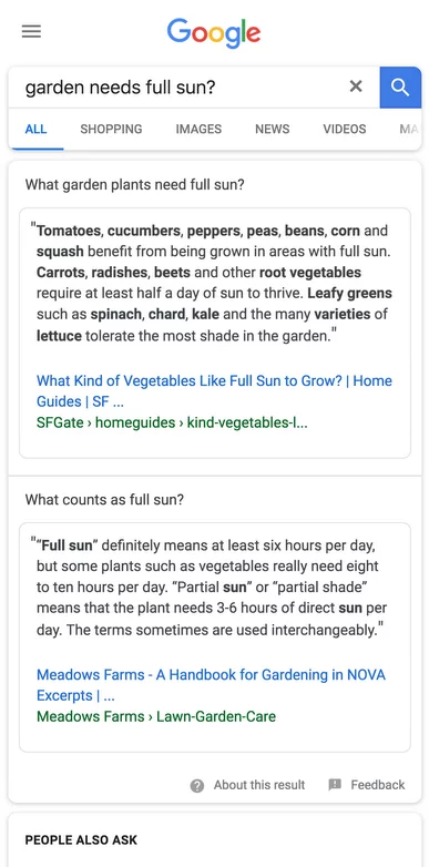 Google Multifaceted Featured Snippet