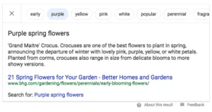 Google Featured Snippet Refinement Bubbles Screenshot