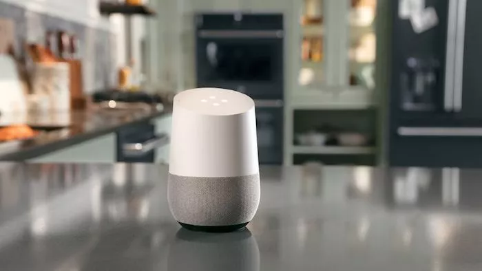 Google Home & Voice Search